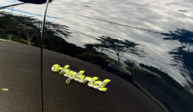 PORSCHE CAYENNE E-HYBRID 3.0 V6 2022 completo